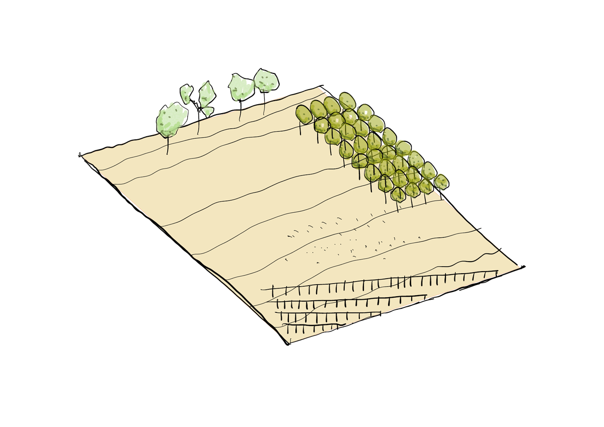 An animated diagram of the collaborative architecture process