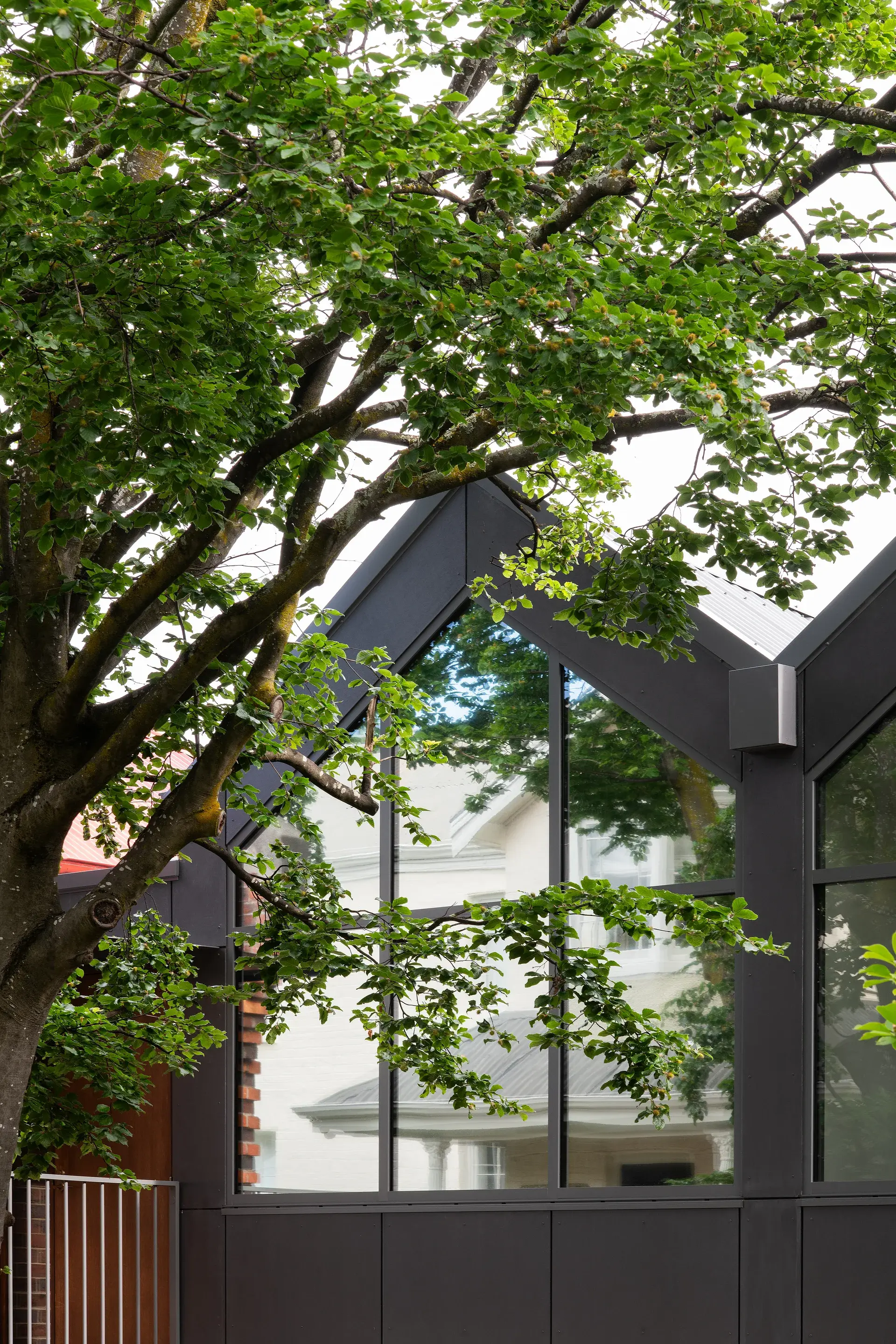 A close-up of modern black gabled rooflines at a Launceston dental clinic, where large glass panels reflect a mature tree.