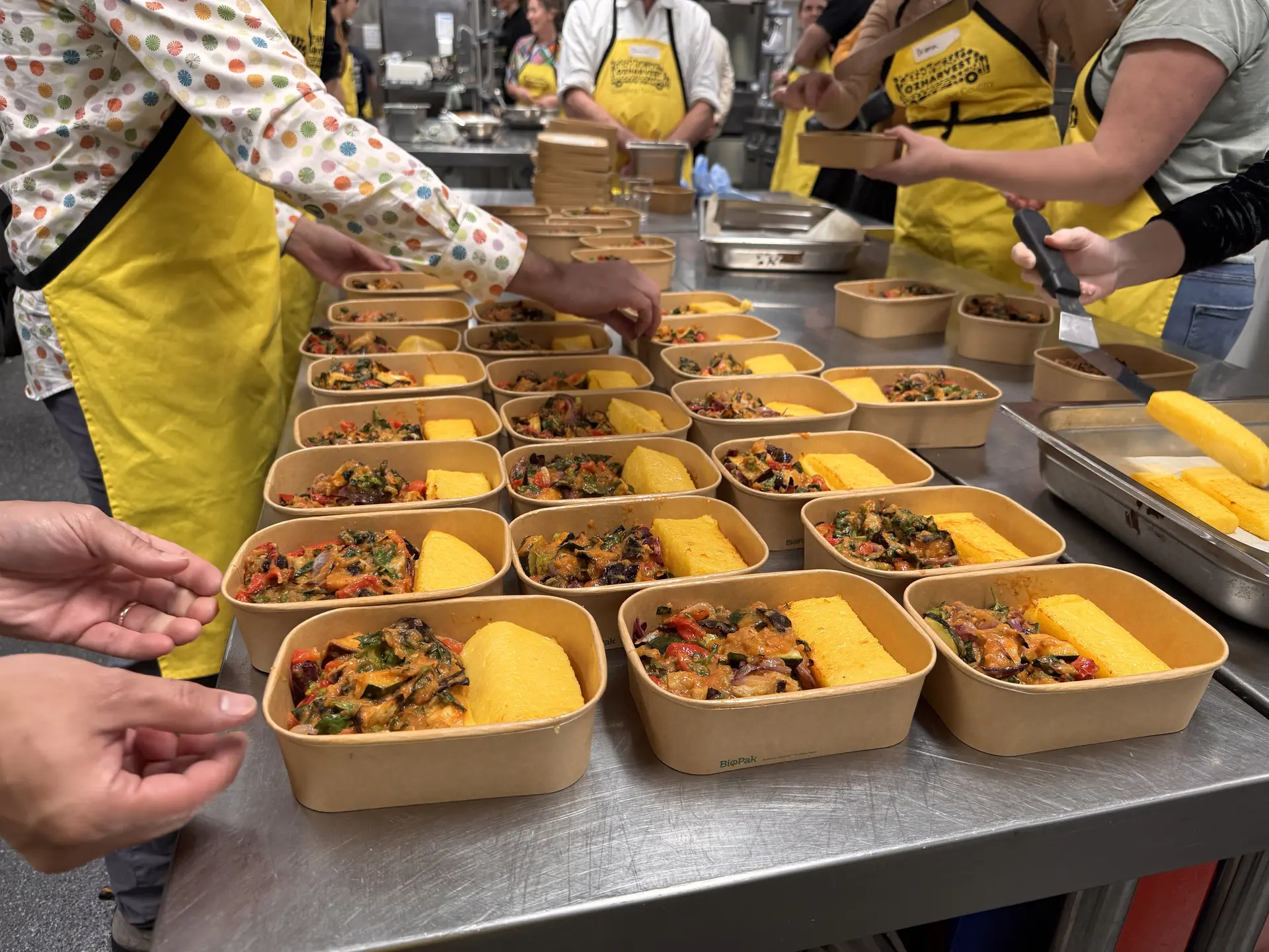 Rows of freshly prepared meals in biodegradable containers, ready for delivery to people in need, as part of an OzHarvest Cooking for a Cause workshop in Hobart, Tasmania.