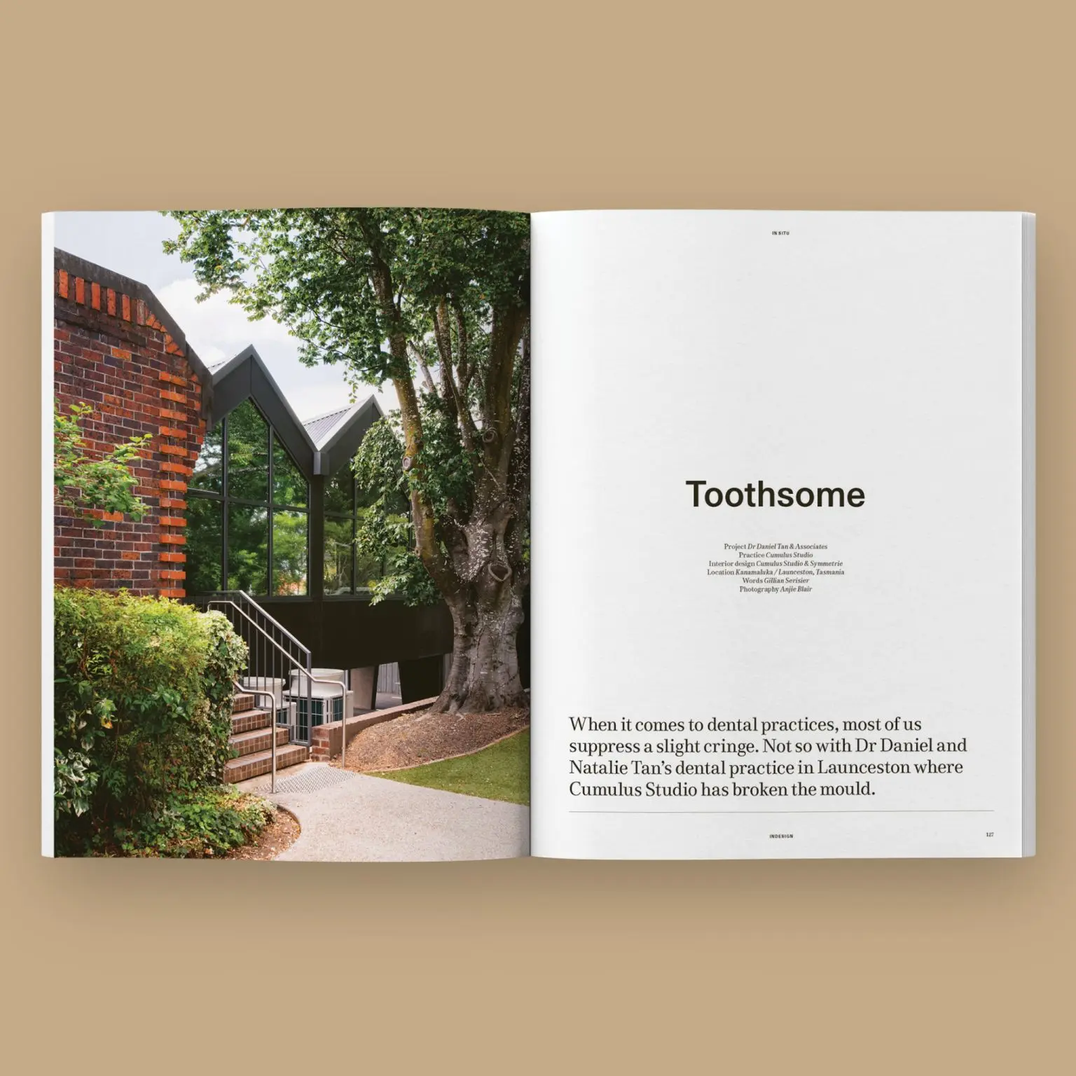 An open magazine spread from INDESIGN titled "Toothsome".