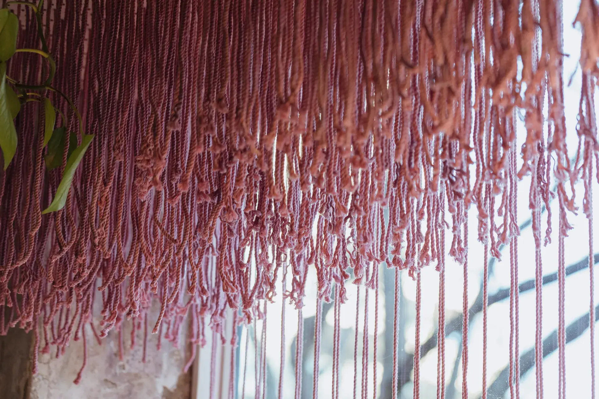 A close-up of the pink rope hanging in the window, with soft daylight filtering through the strands.