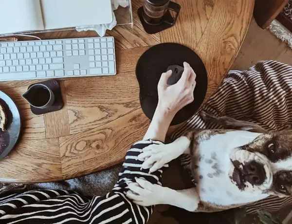 Finding Comfort in the New Normal