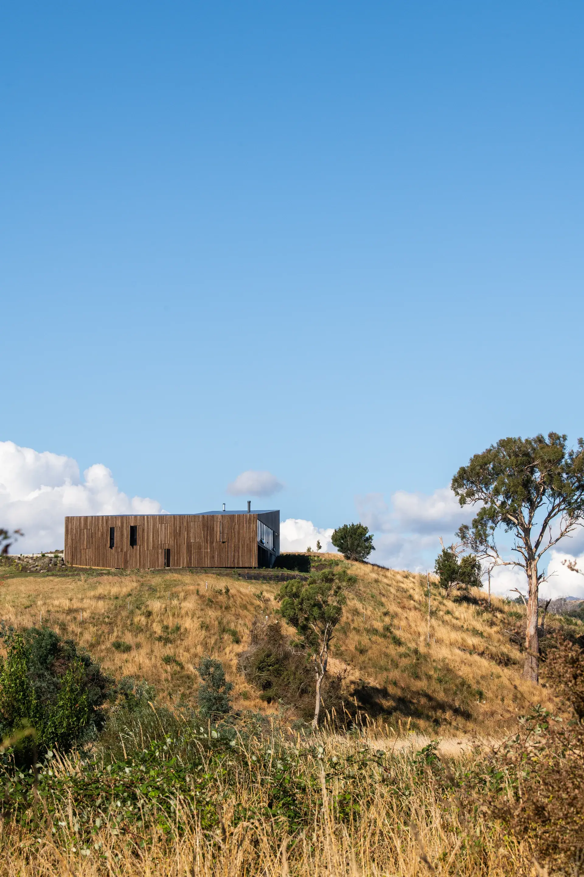 Riverstone perched on a grassy ridge in a rural Tasmanian landscape, featuring vertical wood siding that blends with the dry surrounding hills and tall eucalyptus trees.