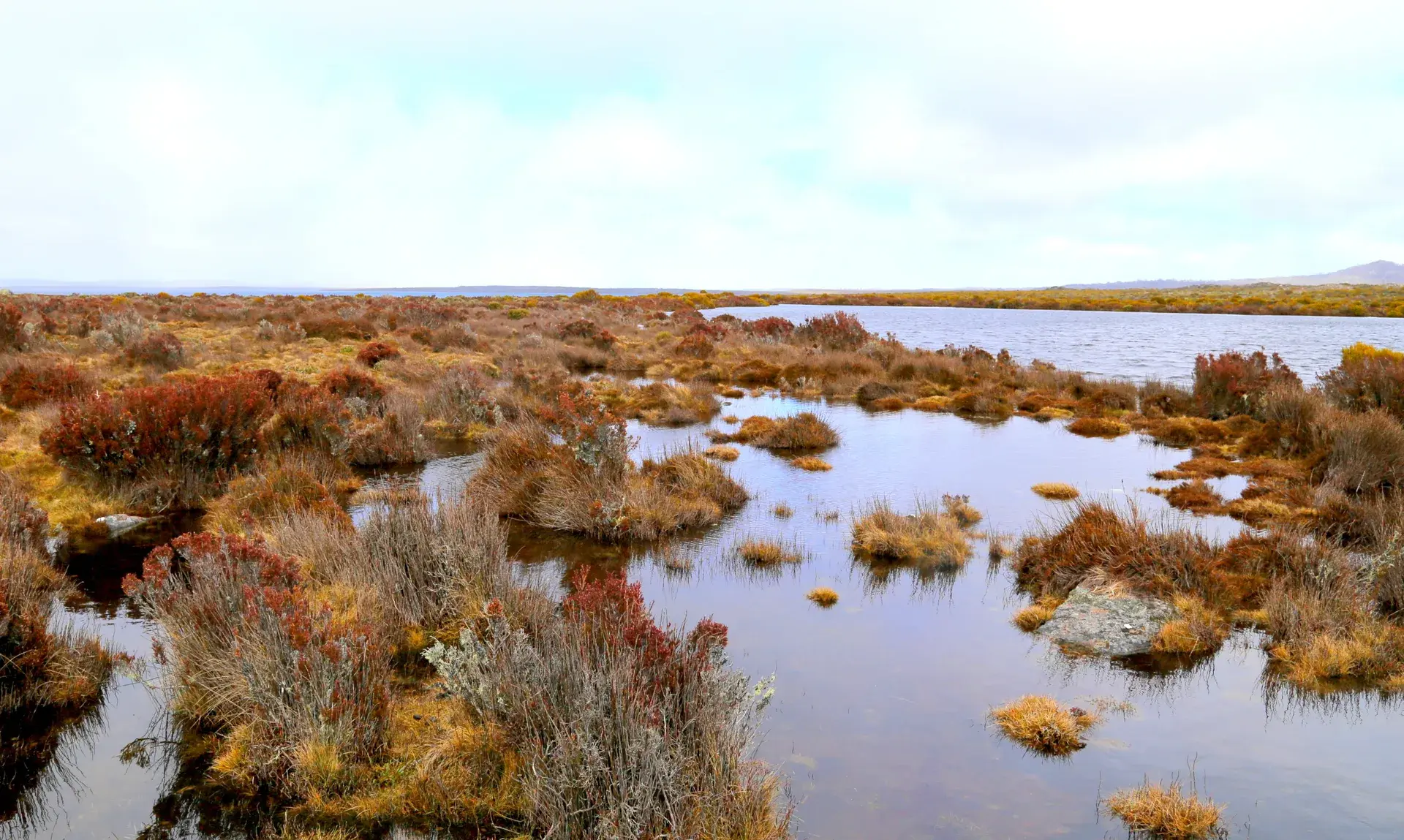 A windswept wetland stretches across the plateau, with shallow reflective pools scattered between low shrubs and grasses, capturing the exposed and fragile alpine environment surrounding the lodge.