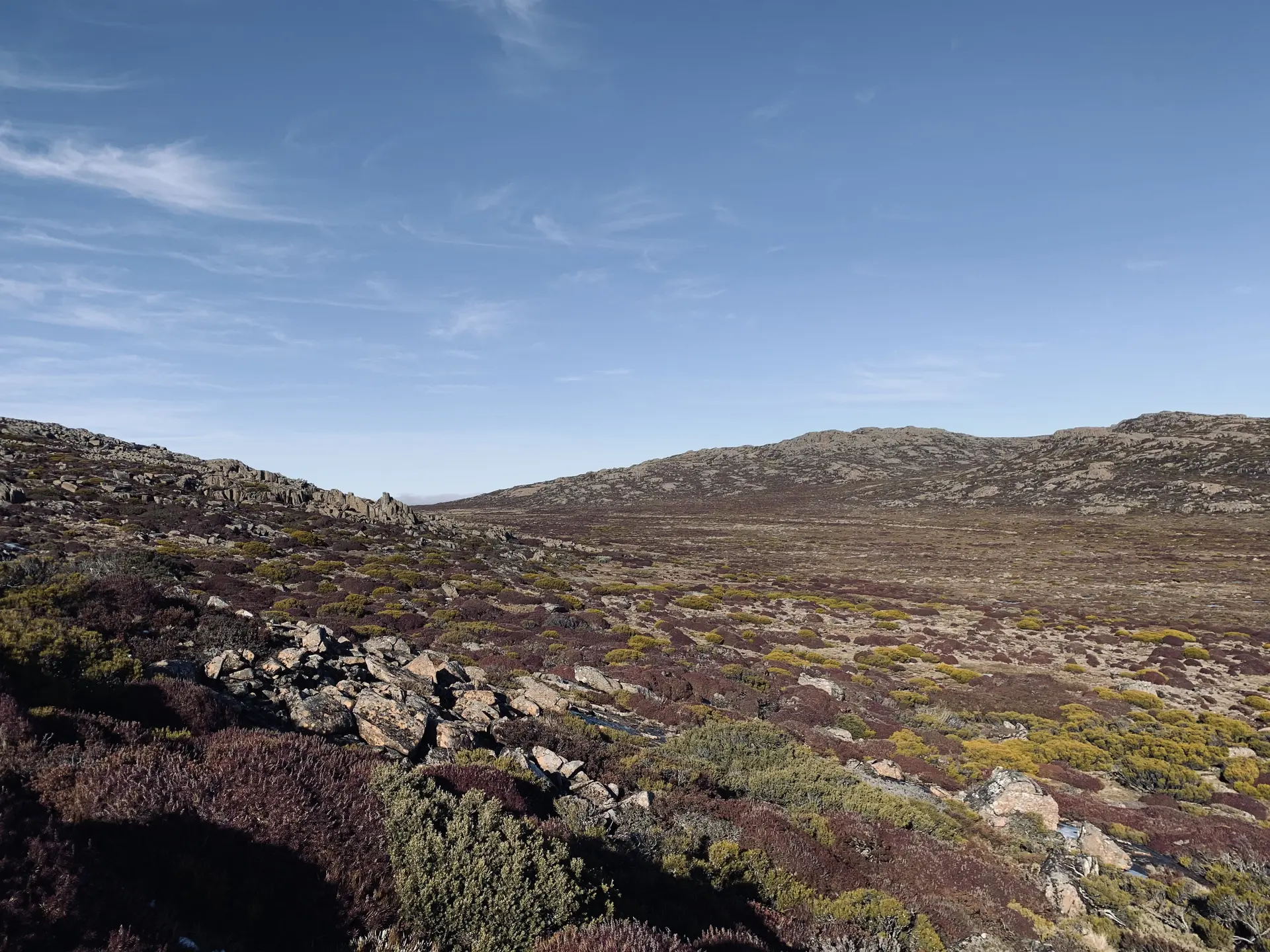 The beautiful Ben Lomond landscape.