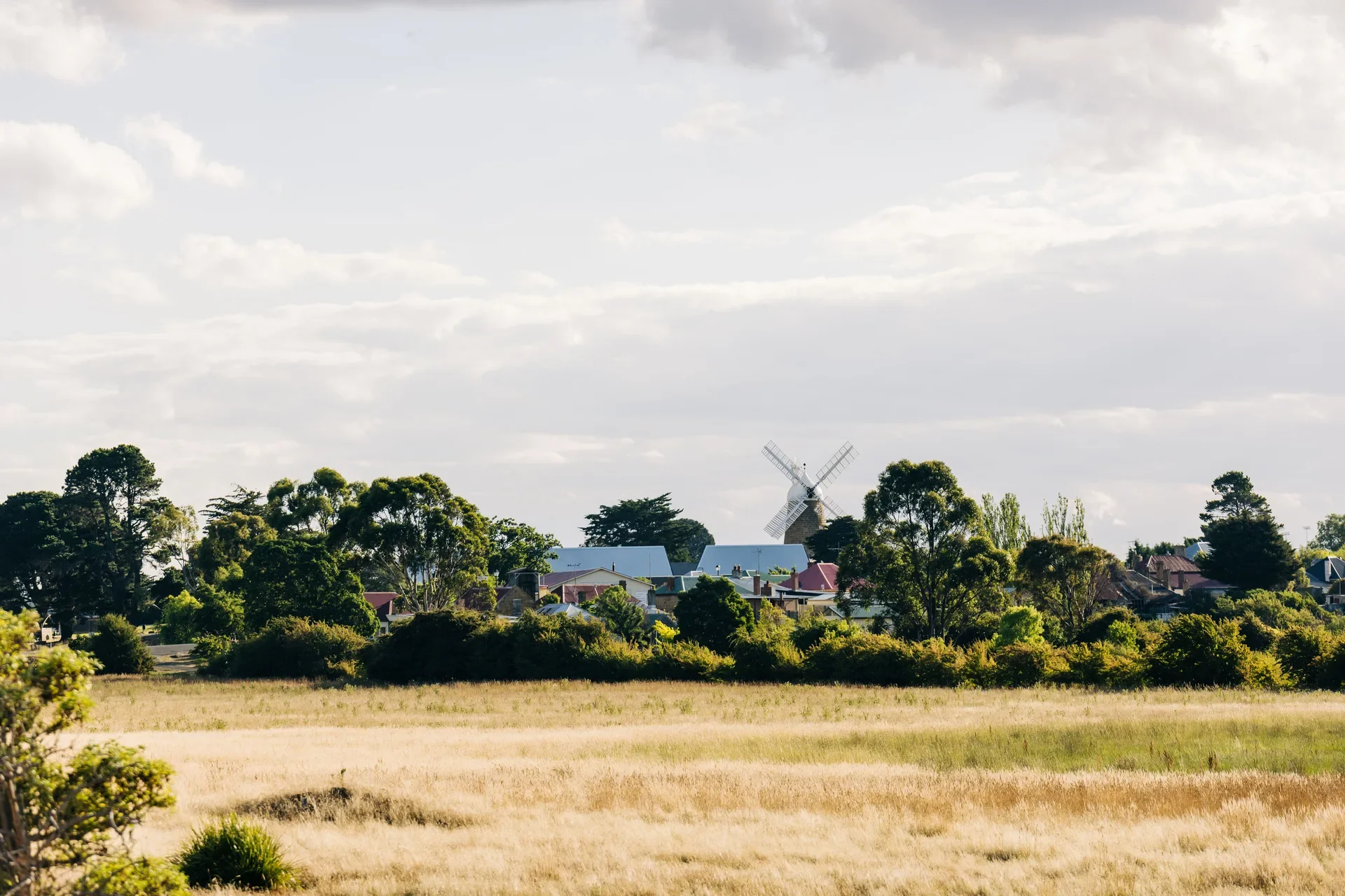 A tranquil view of an open golden field leading toward a distant historic windmill with gable roofs of the project all framed by clusters of mature trees under a soft, clouded sky.