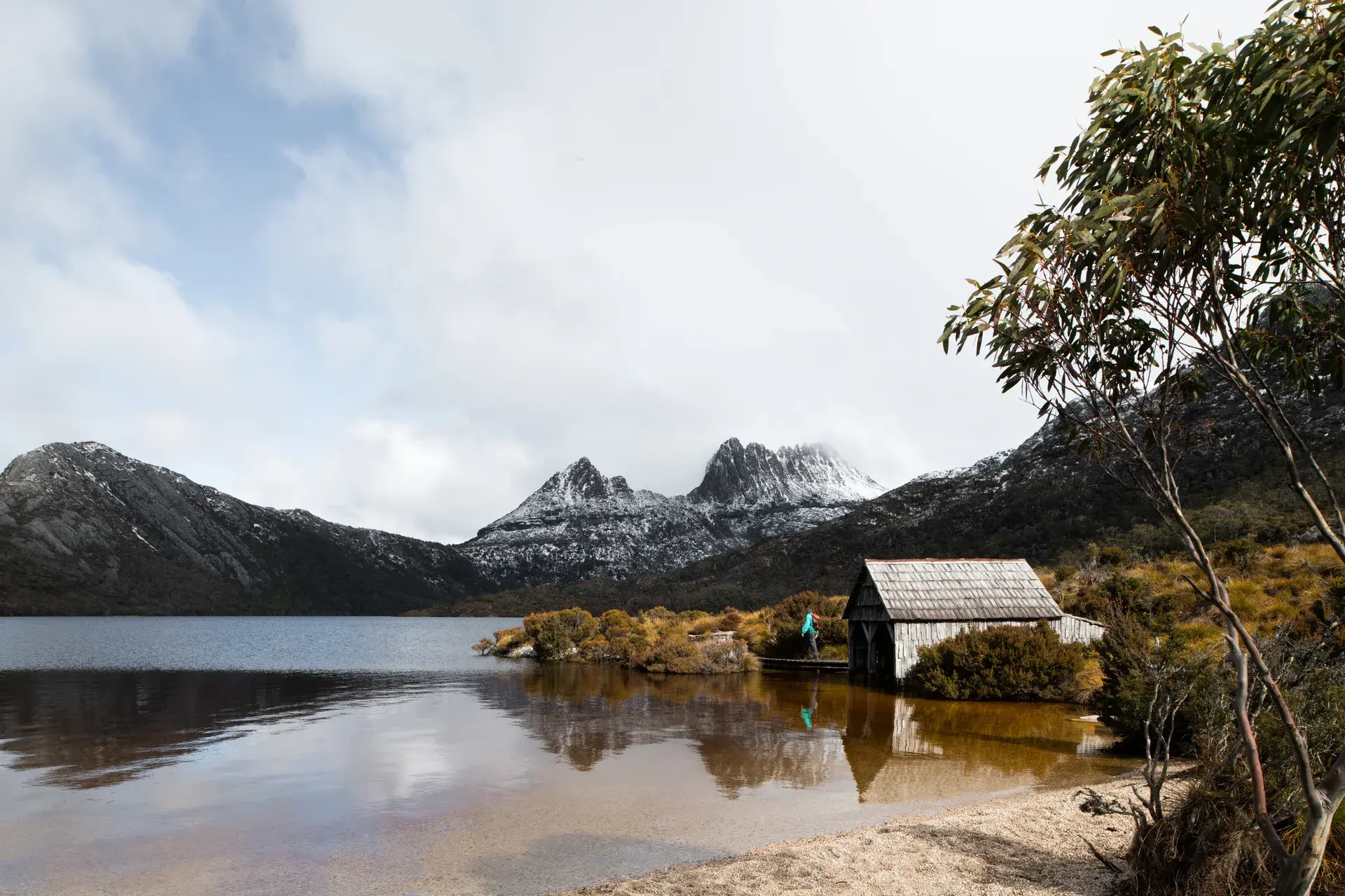 A rustic timber boathouse sits on the edge of a mirror-like alpine lake, framed by a rugged, snow-dusted mountain range and the delicate branches of a native eucalyptus tree.