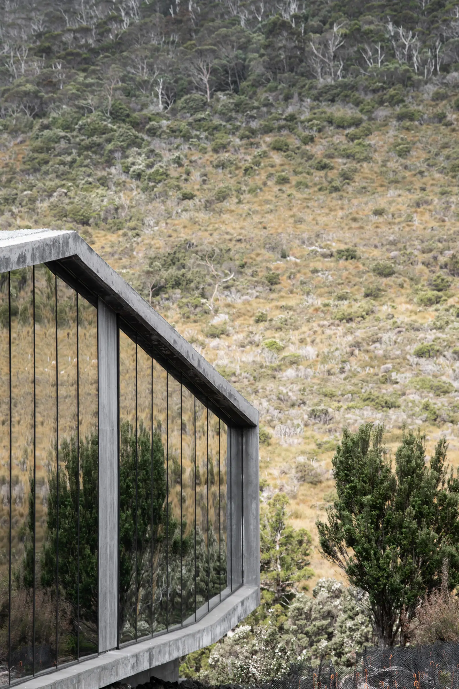 A close-up shot showing large glass windows reflecting the surrounding greenery. The building's sharp, geometric frame contrasts with the soft, dense shrubs and forested hillside in the background.