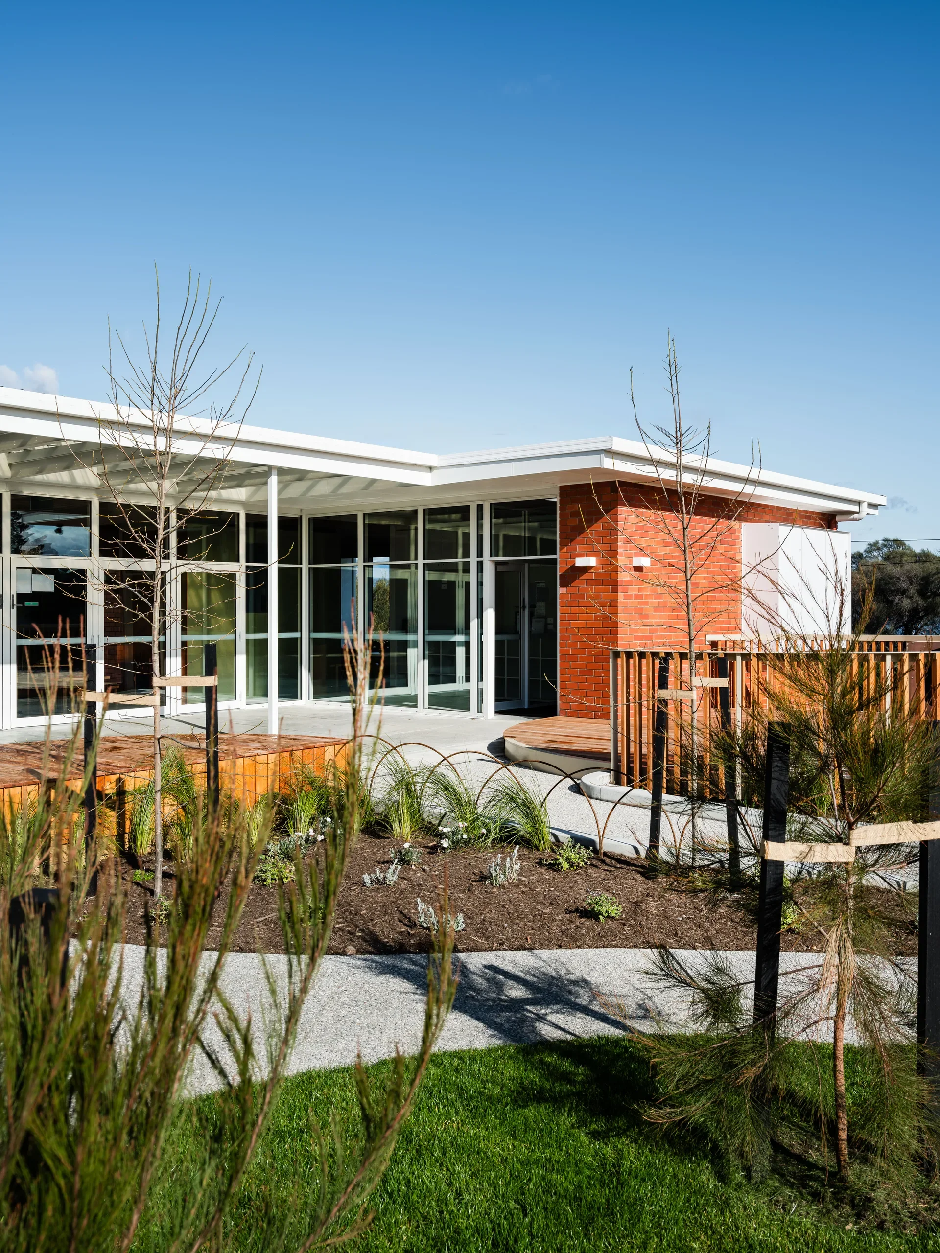 This modern building features a red brick corner and extensive floor-to-ceiling glass windows and doors. The exterior includes curved wooden decking and a landscaped garden bed with young trees and green grass.