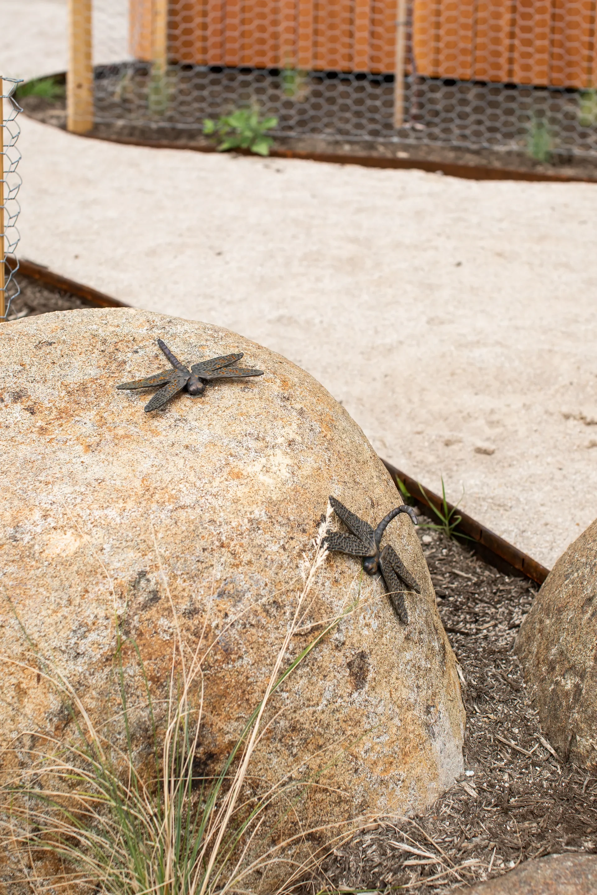 This close-up features two bronze dragonfly sculptures resting on a large, tan-colored boulder. The rock is situated at the edge of a sandy path, with a low wooden planter box and wire mesh fencing visible in the blurred background.