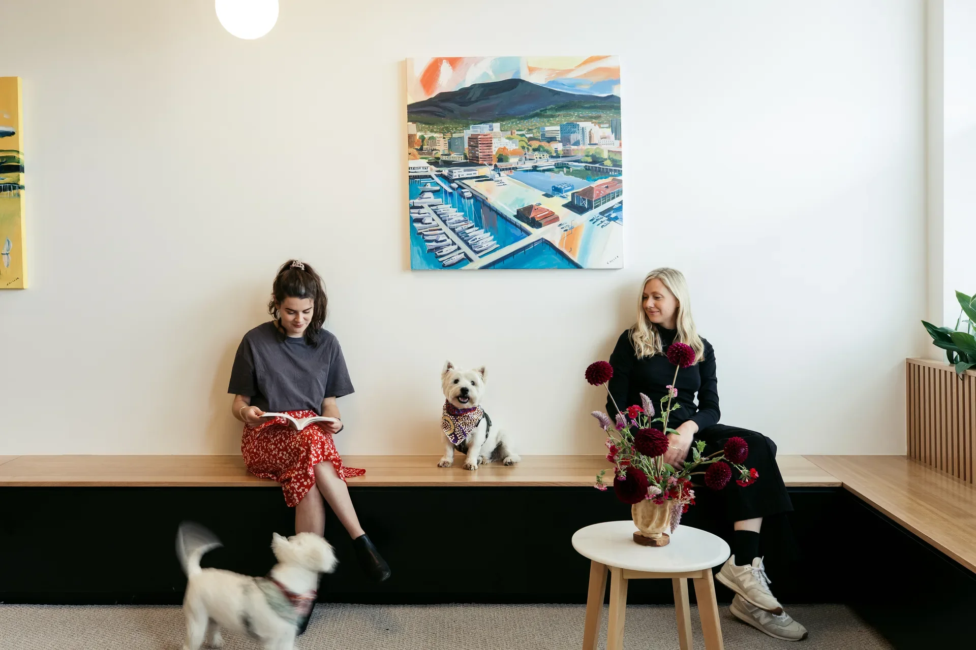 A bright, modern waiting area featuring two women and two West Highland Terriers on a sleek timber bench. A colorful landscape painting hangs on the white wall, while a small side table with a floral arrangement adds a warm, personal touch to the clean space.