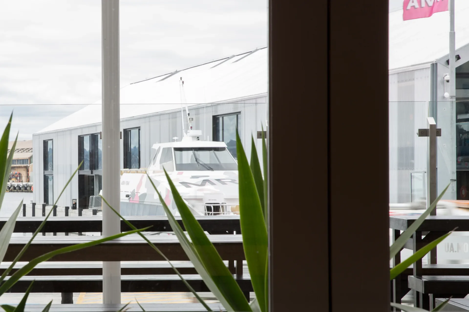 Seen through a window with green leaves, a white ferry is docked beside a long, industrial-style building. Dark outdoor benches sit in the foreground under an overcast sky.