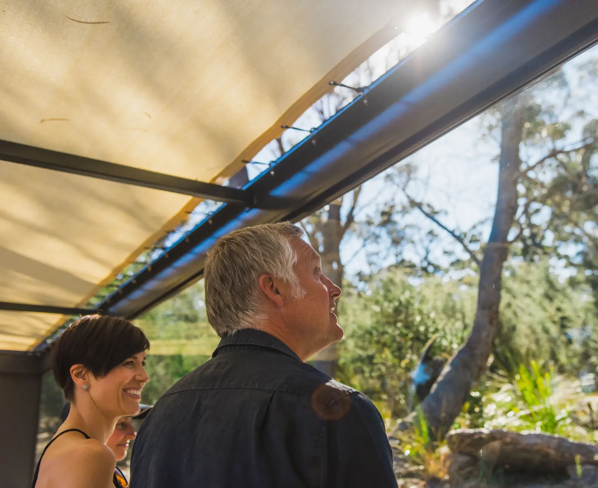 A man and a woman stand smiling under a shaded canopy structure with a view of a lush, sunlit forest. The bright sunlight filters through the trees and the overhead fabric, highlighting the surrounding eucalyptus-filled landscape.