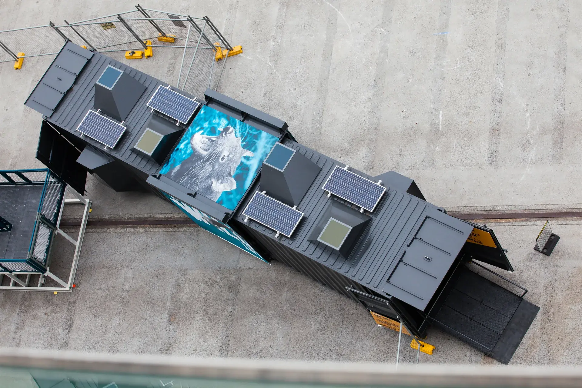 A view from the cruise ship looking down onto the roof of the shelter. On the roof there is Futago's large graphic of a Tasmanian Devil, protruding angled skylights and solar panels.