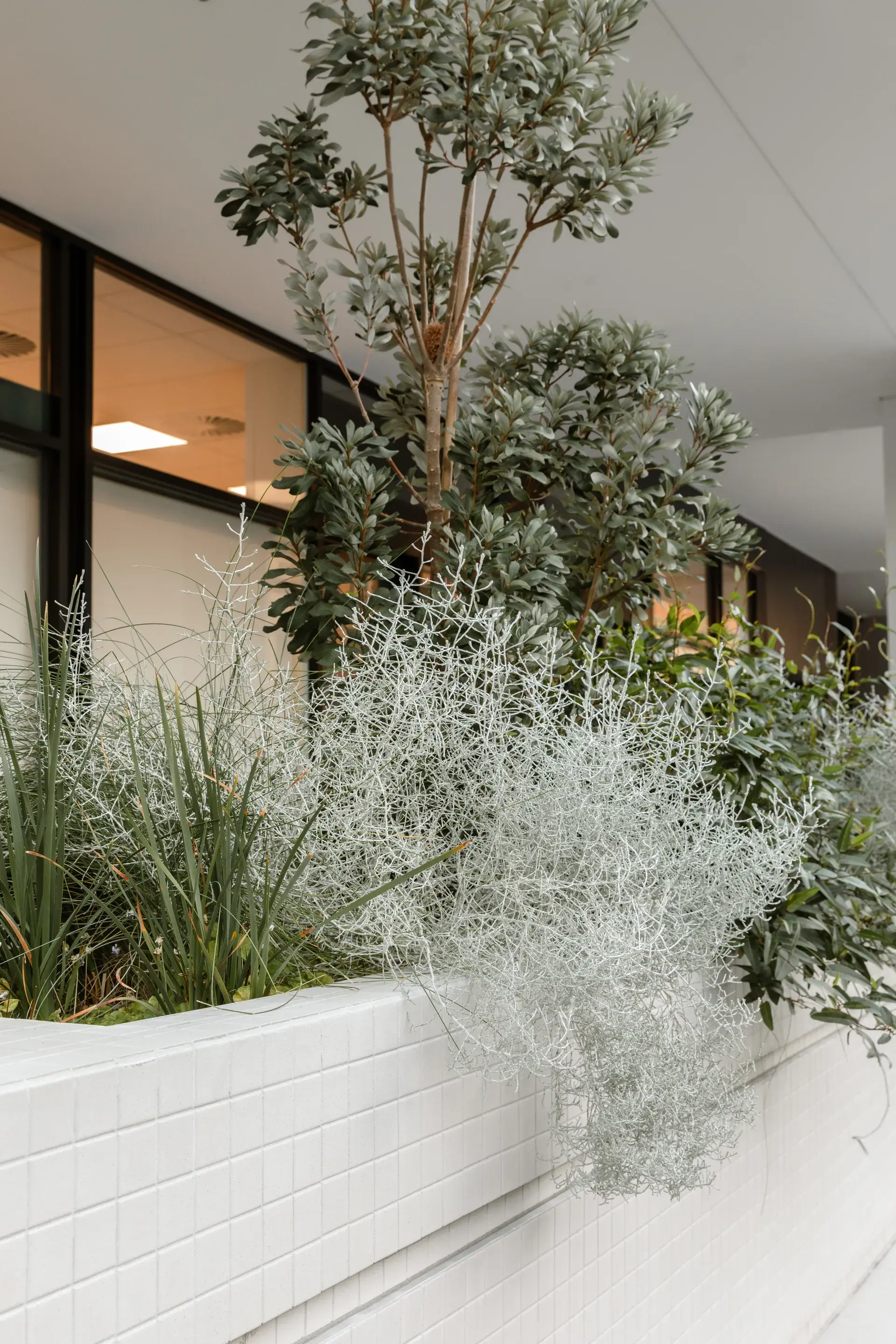 The public colonnade includes a series of planter boxes filled with native plants.