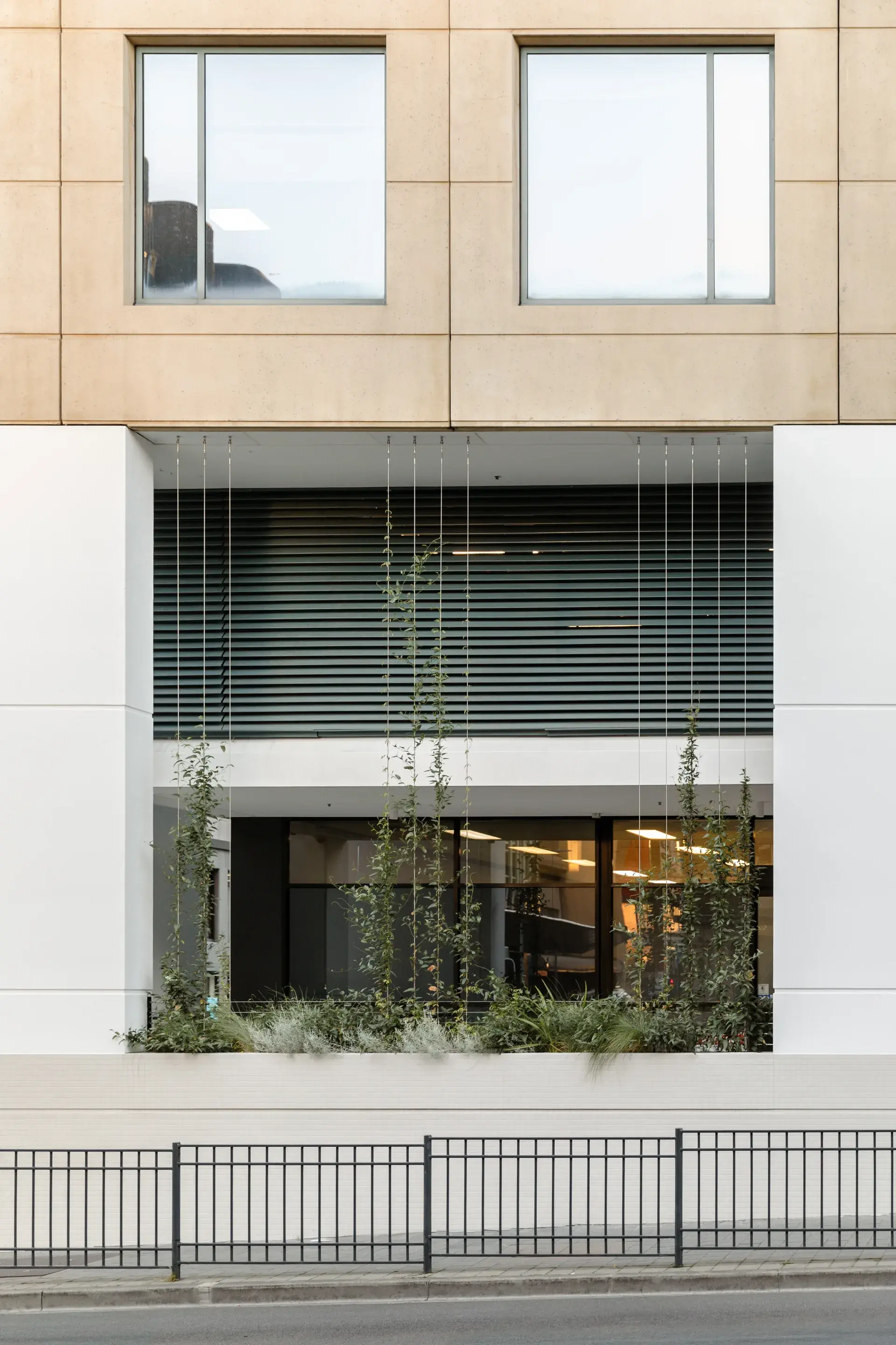 The plants include climbers that will be trained to run from the planter boxes to the ceiling of the colonnade.