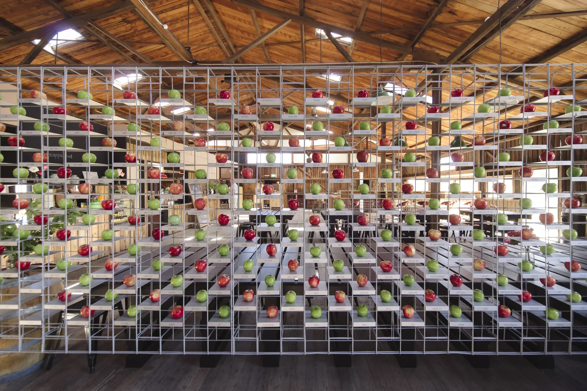 This rustic museum display features a large metal grid wall filled with dozens of red and green apples. Each apple is individually placed on a small white shelf within the wire structure, set against the backdrop of a timber-beamed ceiling and an open museum space.