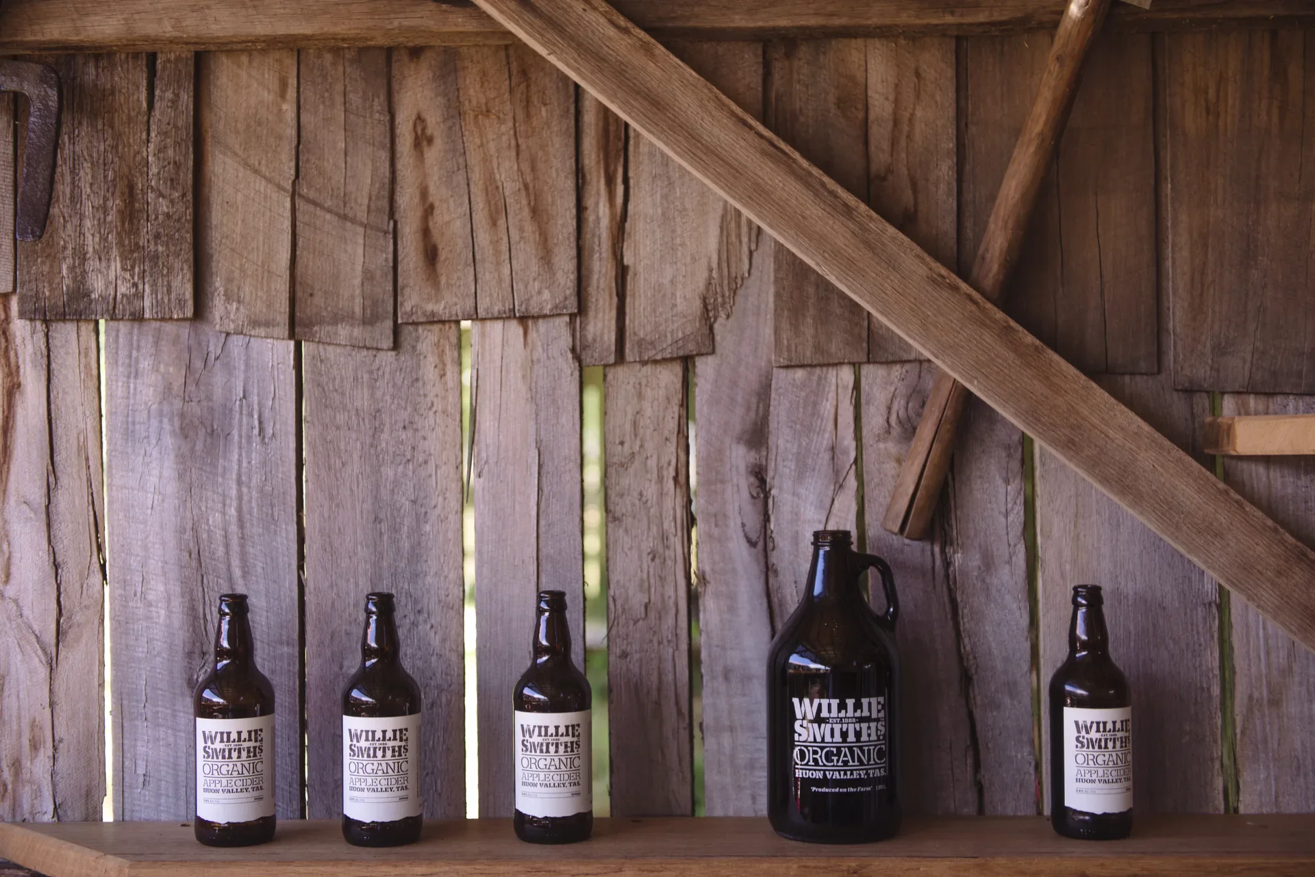 Four Willie Smith’s Organic Apple Cider bottles and one large growler are lined up on a wooden shelf against a rustic wall of vertical timber planks. The display highlights the brand's origin in Huon Valley, Tasmania, under soft, natural lighting.