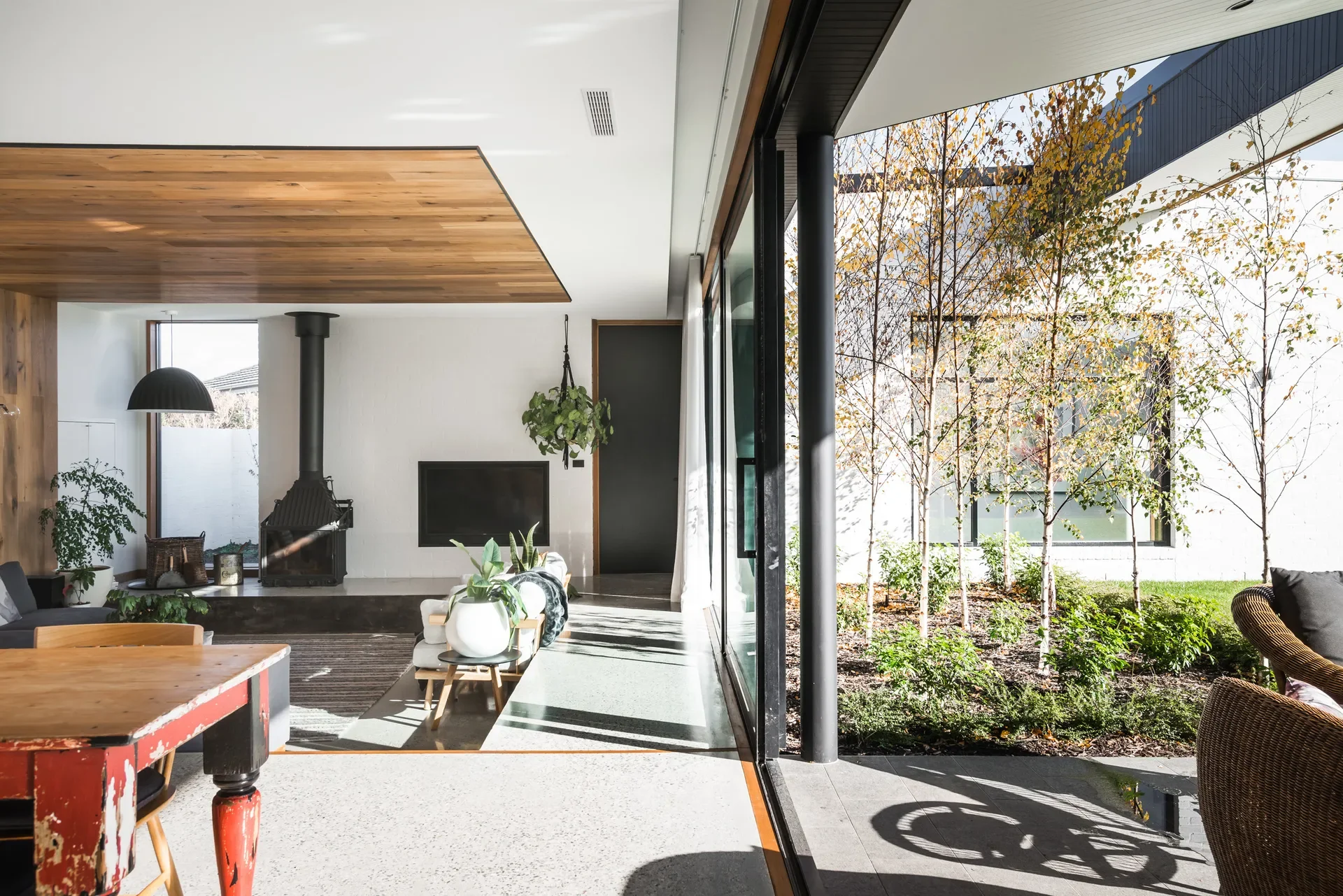 This modern living area features a wood-panneled ceiling section and a fireplace, connected to an outdoor courtyard via large sliding glass doors. The exterior space is planted with slender birch trees, which cast long shadows across the bright interior flooring.