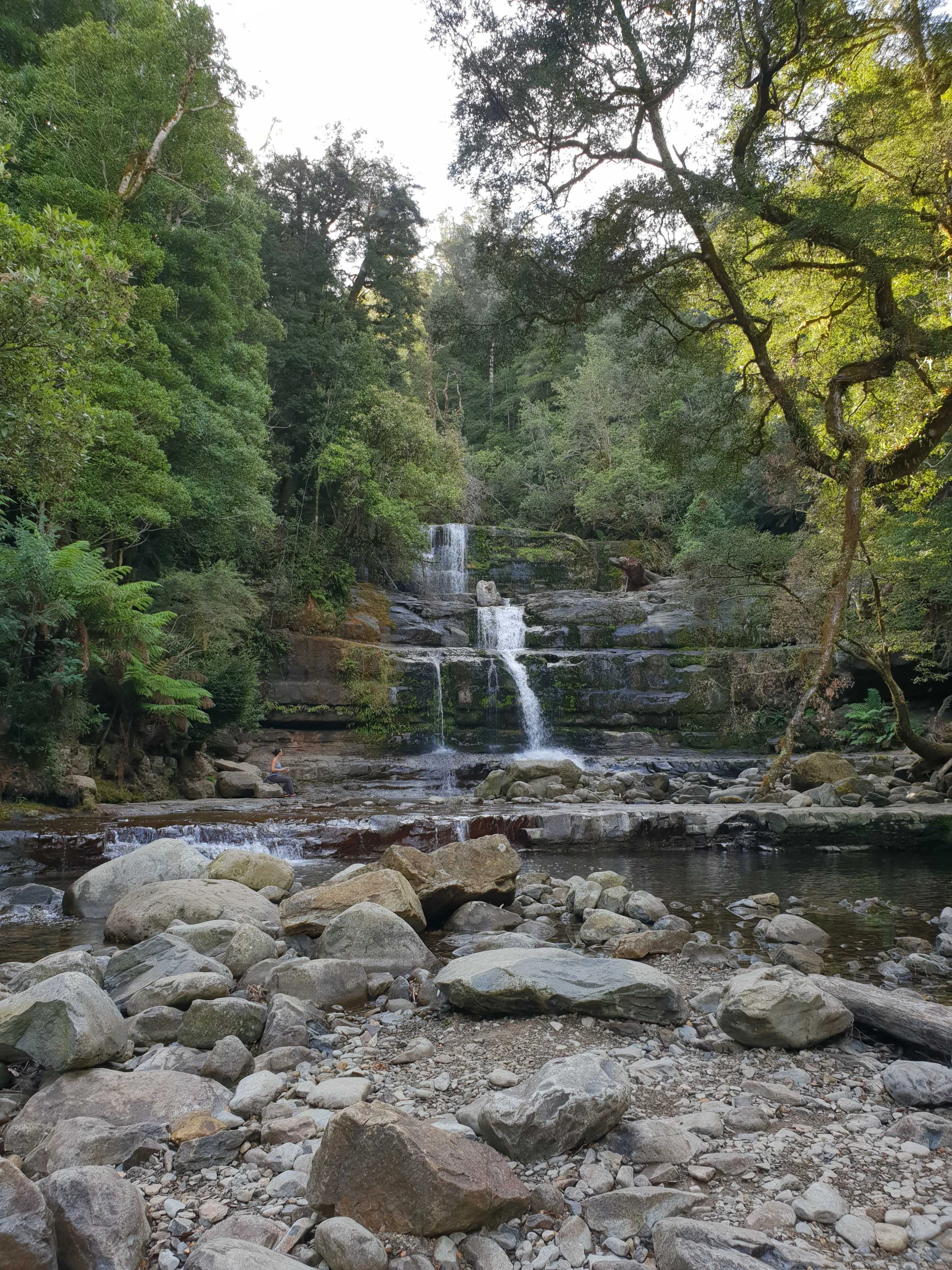 Taking in the scenery and serenity of Liffey Falls, Tasmania on a beautiful and cool autumn afternoon, as the waterfall cascades down.