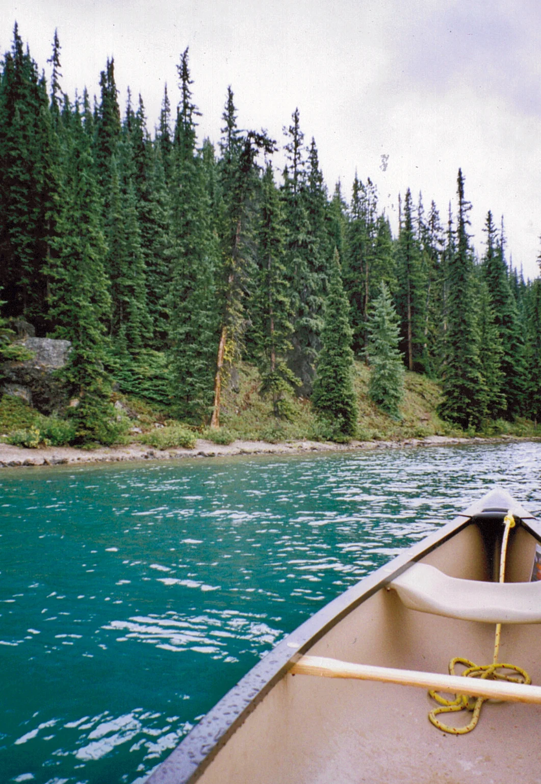 A tranquil river scene viewed from inside a canoe, looking toward a dense forest of tall evergreen trees lining the water’s edge, with the turquoise water reflecting the muted light of an overcast sky.
