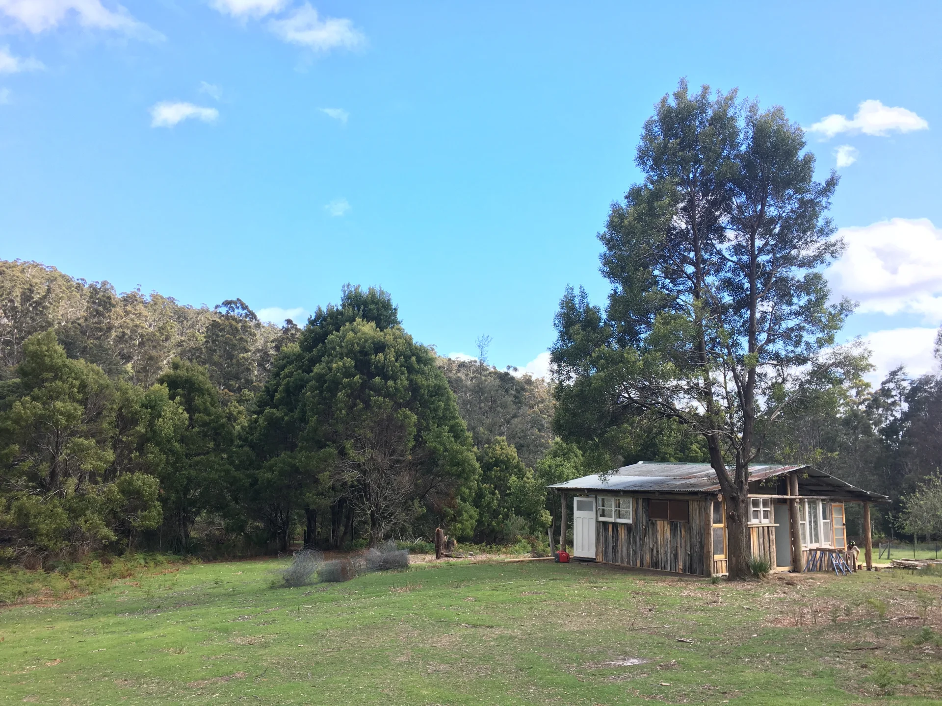 A modest, weathered cabin set within an open grassy clearing, surrounded by tall trees under a bright blue sky, with simple materials and an improvised, handmade appearance.