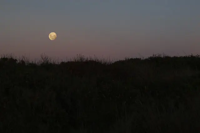 Dramatic sunset landscape with a full moon rising in a dark moody night sky