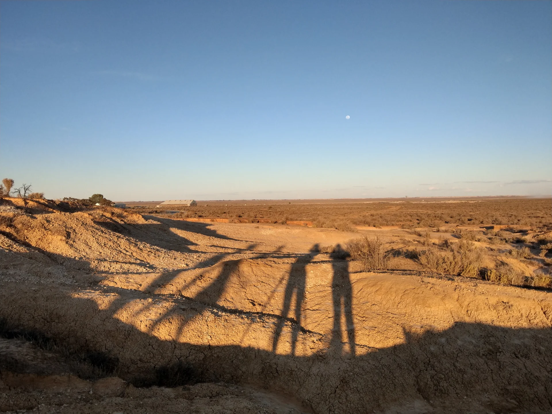 A landscape photograph of an arid, open terrain at golden hour, with long shadows stretching across the ground. Figures are visible only as elongated silhouettes cast over the uneven earth. The low sun creates a warm, expansive atmosphere, with a vast horizon and pale sky in the distance.