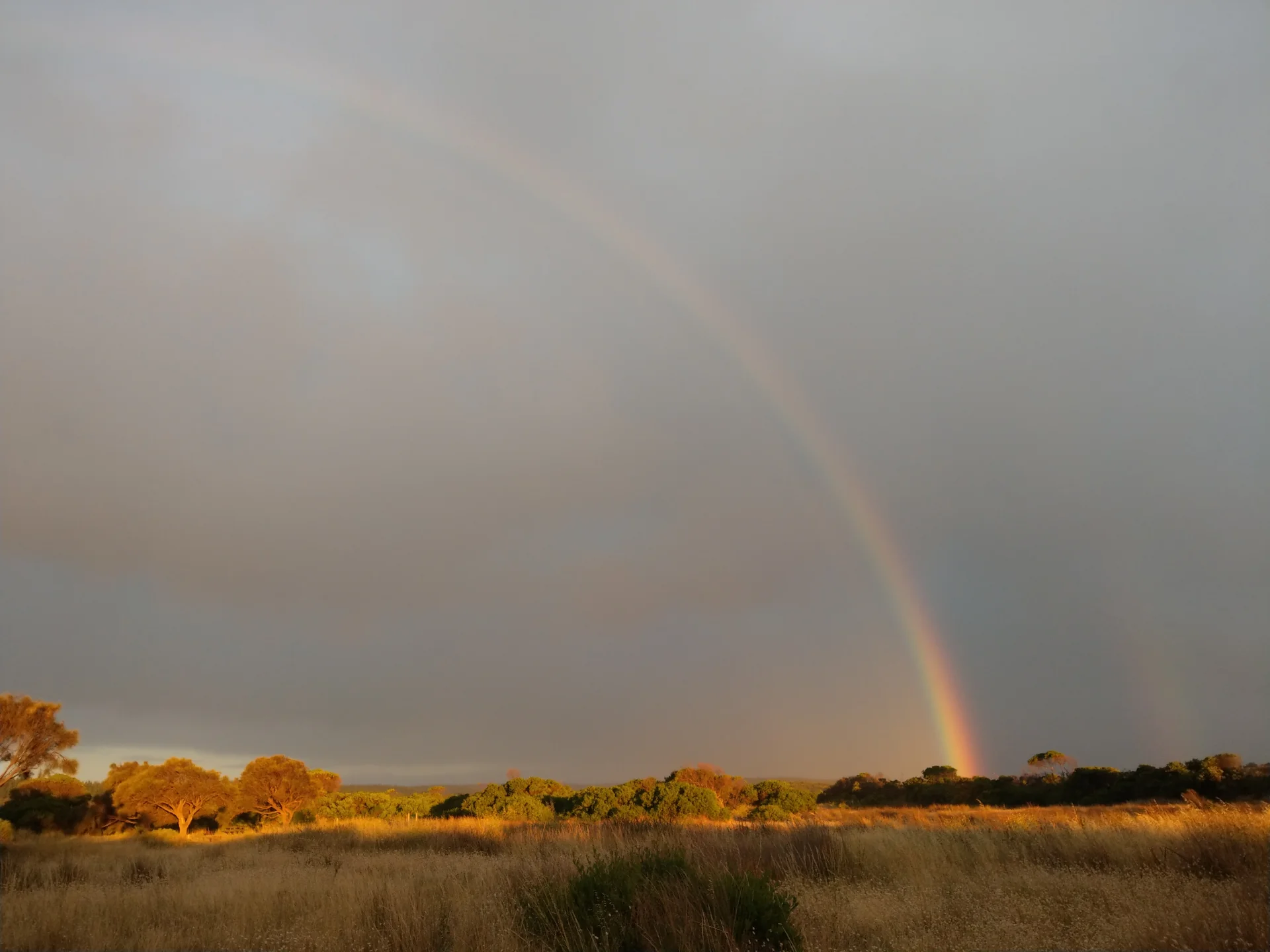 A landscape photograph of a grassy field at golden hour, illuminated in warm light beneath a dramatic sky. A bright rainbow arcs down toward the horizon, with a faint secondary rainbow visible alongside it, creating a striking contrast between the glowing land and the darker clouds overhead.