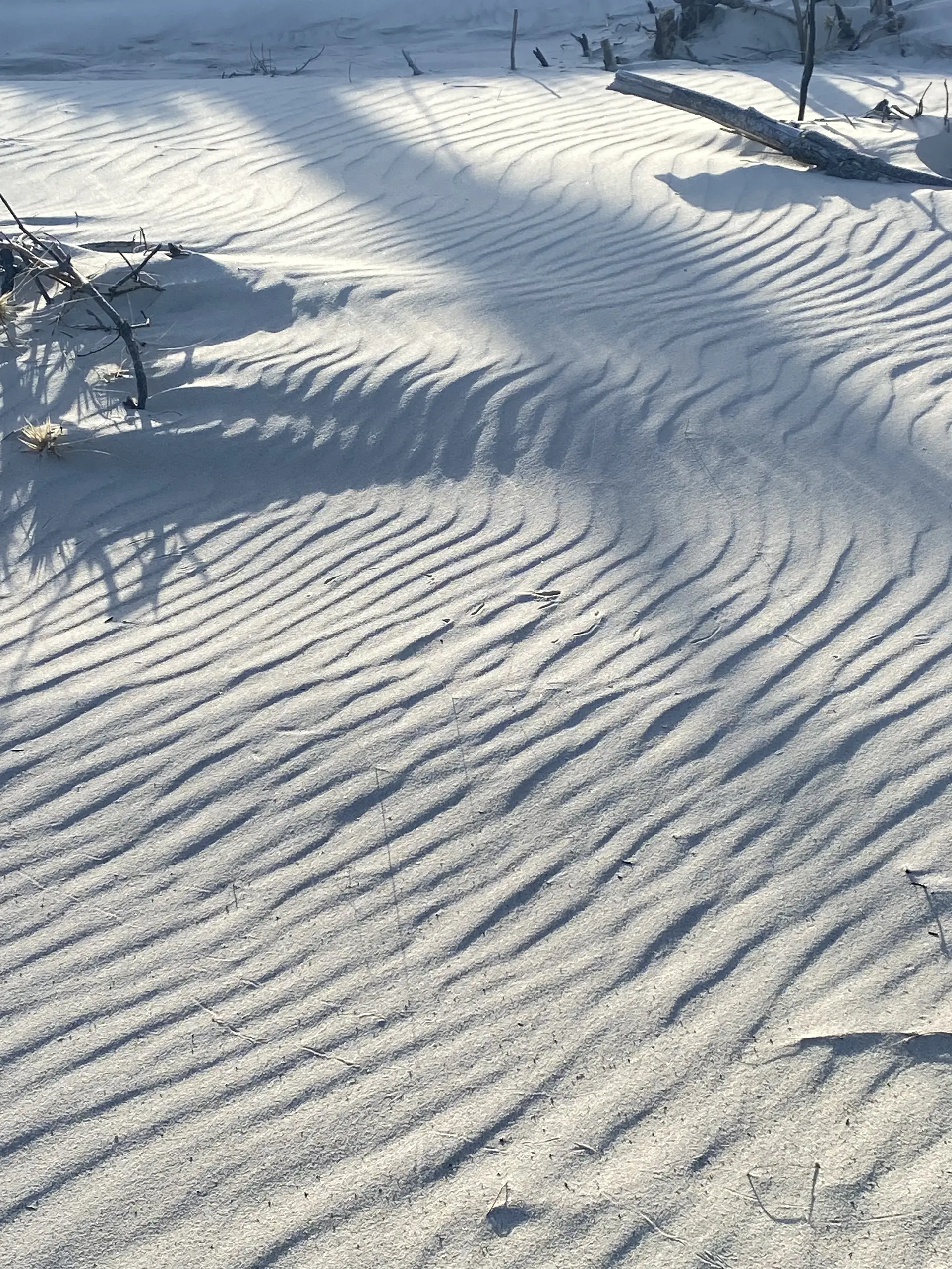 Wind ripples on a white sandy beach.