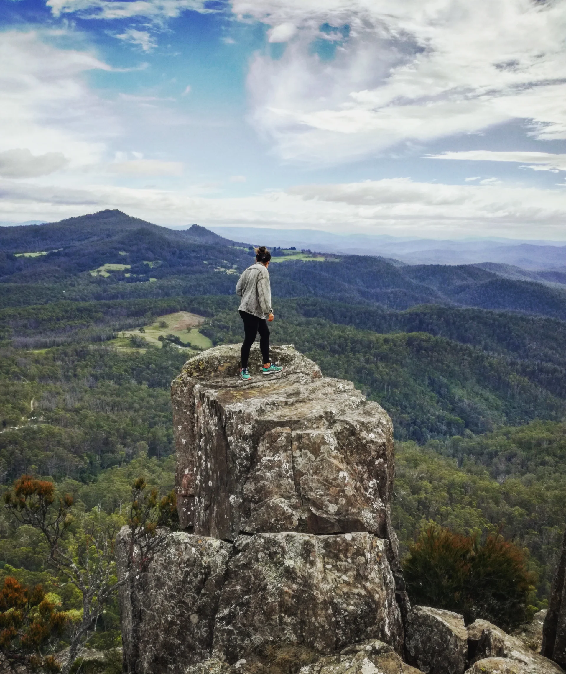 dramatic landscape view of Rosella standing on a large rock outcrop, overlooking a vast expanse of rolling hills and forest.