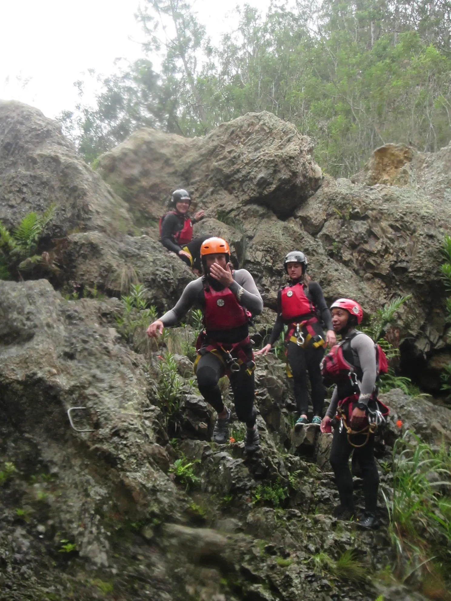 Tim and friends in wetsuits, helmets, and harnesses navigate rocky terrain in a forested gorge, mid-way through a canyoning adventure.